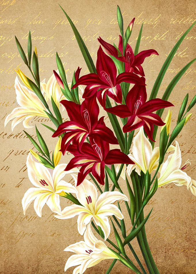 Flowers bouquet