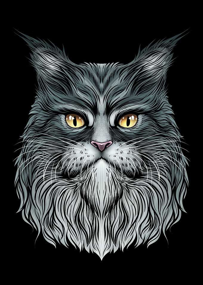 Maine Coon Cat