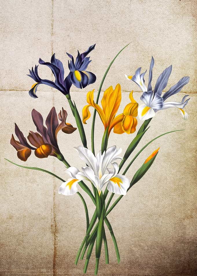 Flowers Bouquet