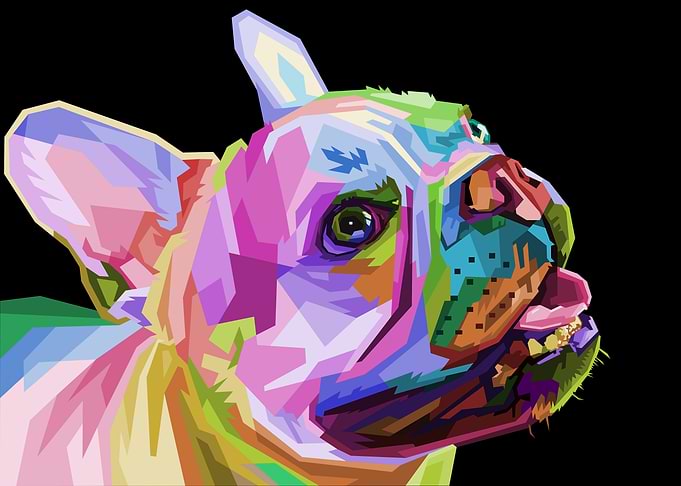 french bulldog