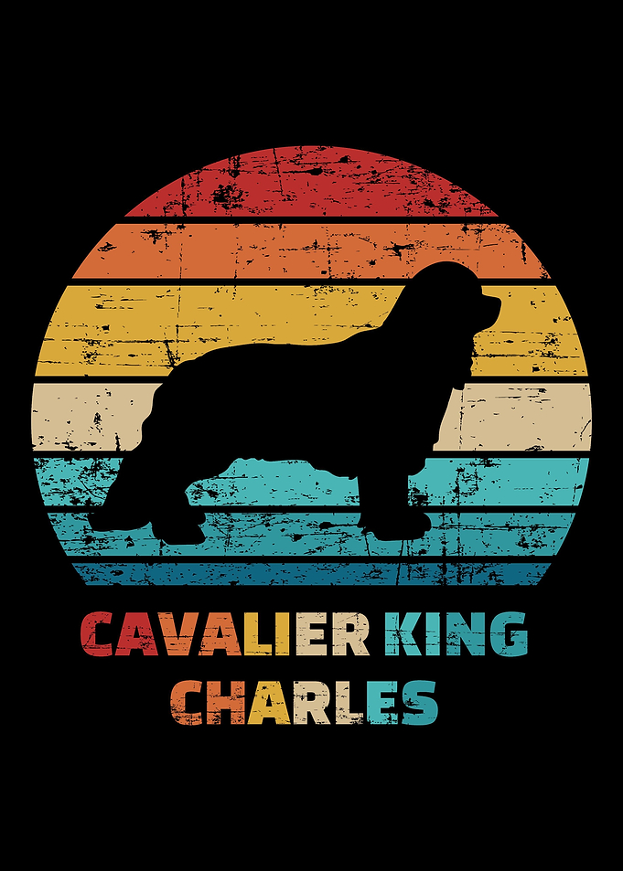 Cavalier King Charles