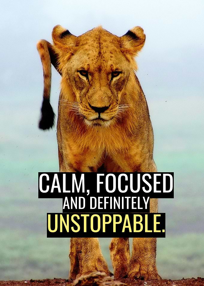 Calm and Focused