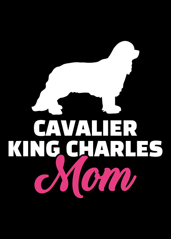 Cavalier King Charles