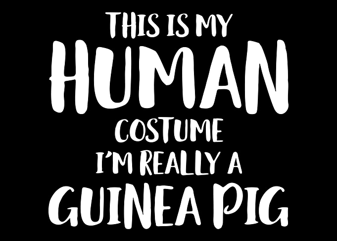 Guinea pig