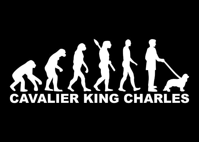 Cavalier King Charles