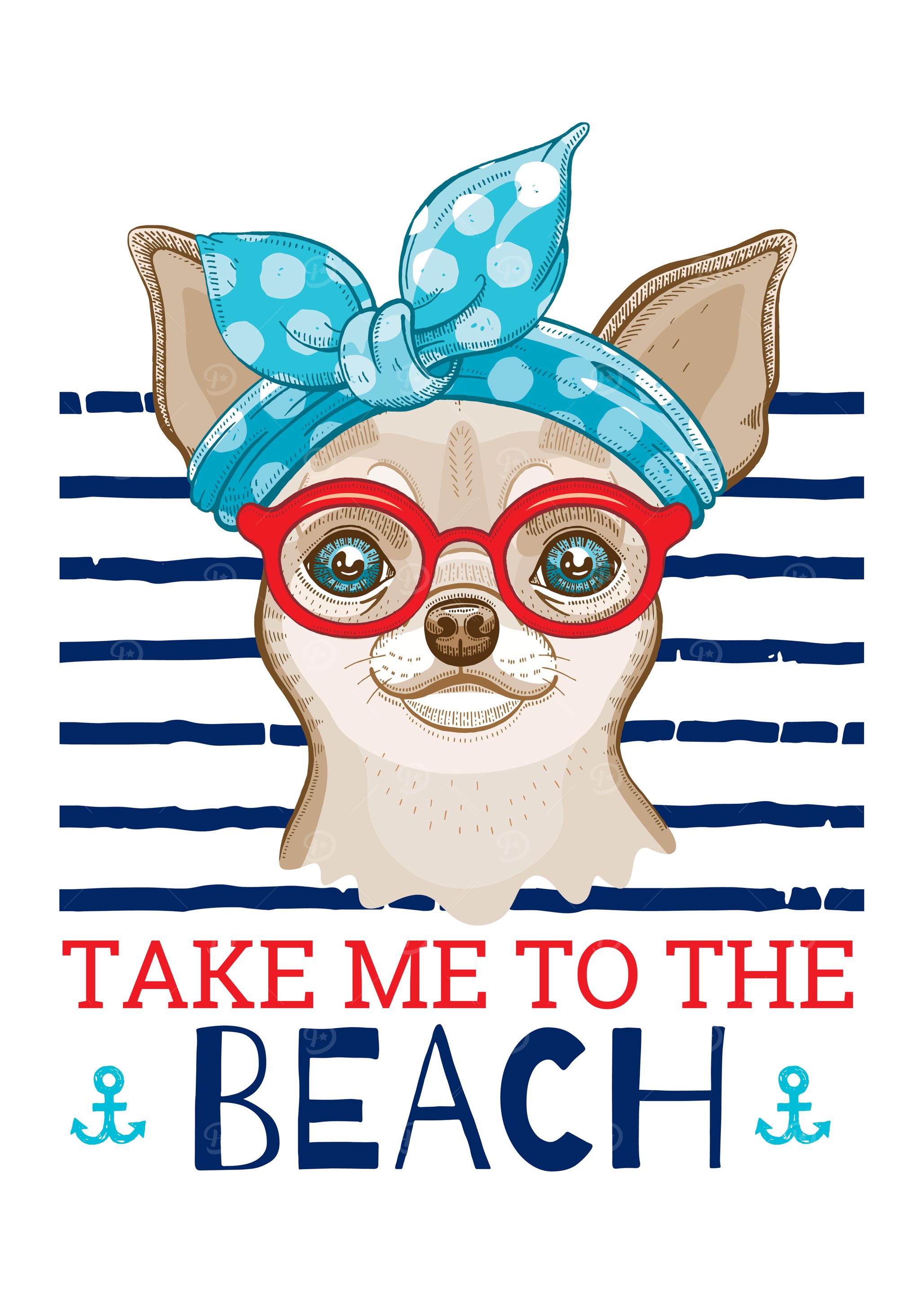 Beach Chihuahua