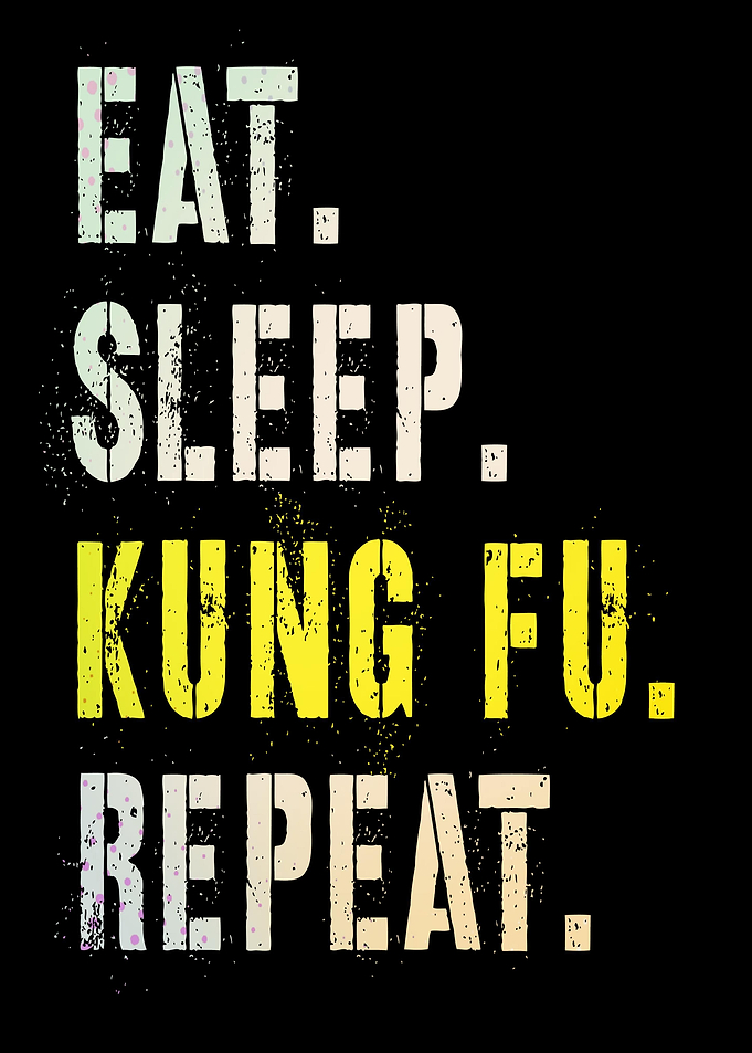 Eat Sleep Kung Fu Repeat