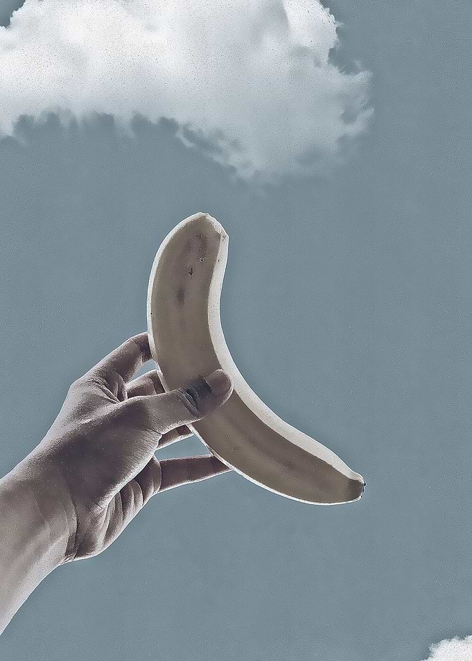 the banana art