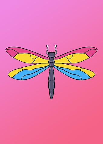 Pansexual Dragonfly