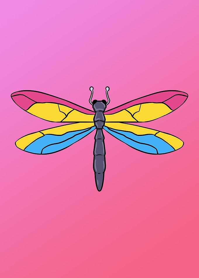 Pansexual Dragonfly