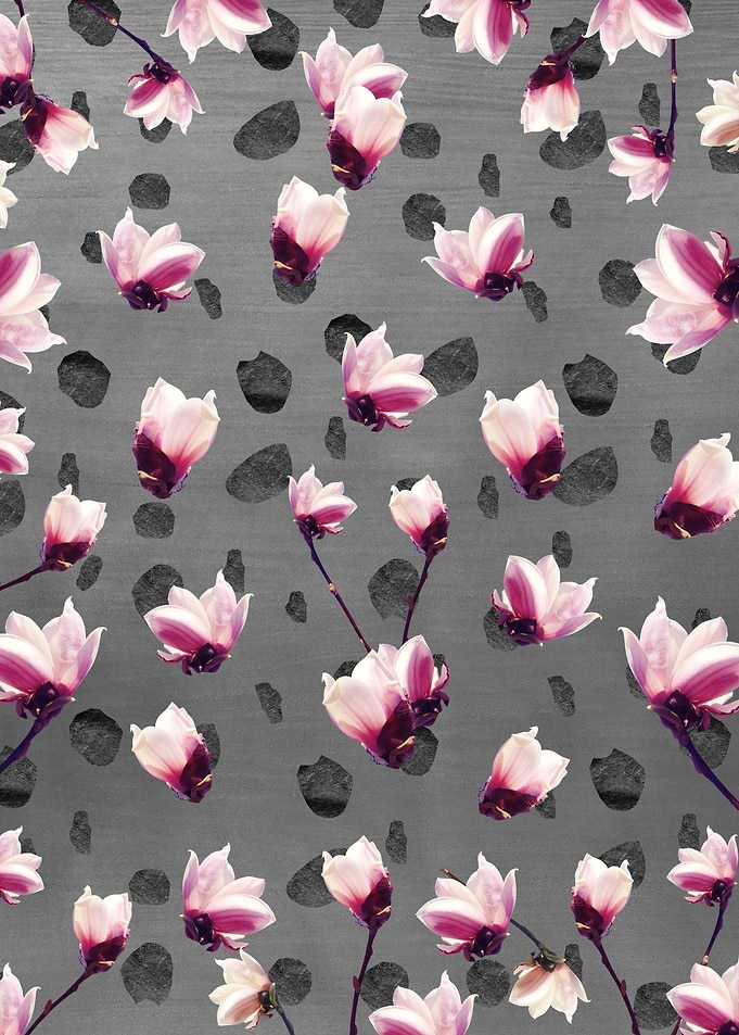 Magnolia Glam 1