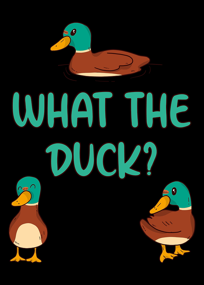 What The Duck Funny Duck