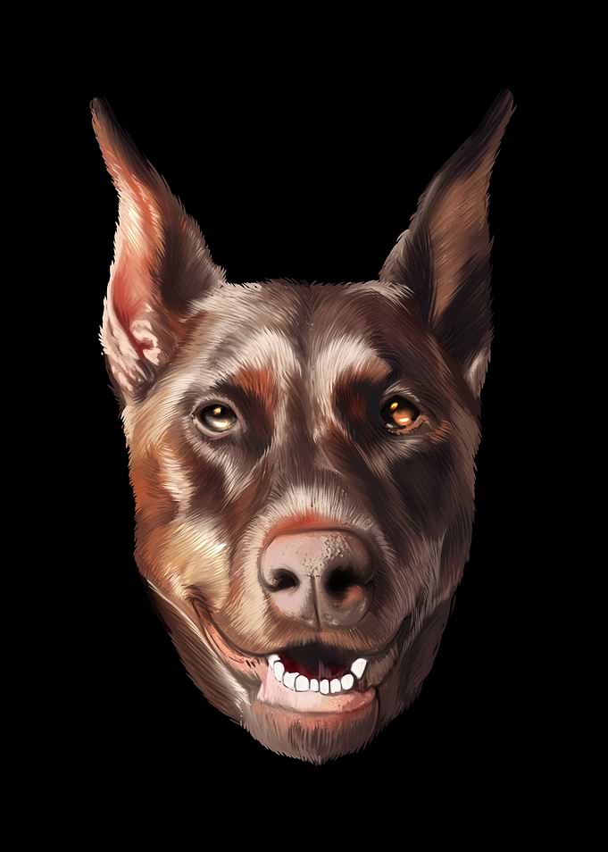 Dobermann Hund