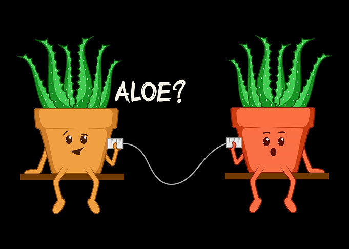 Aloe Vera Barber