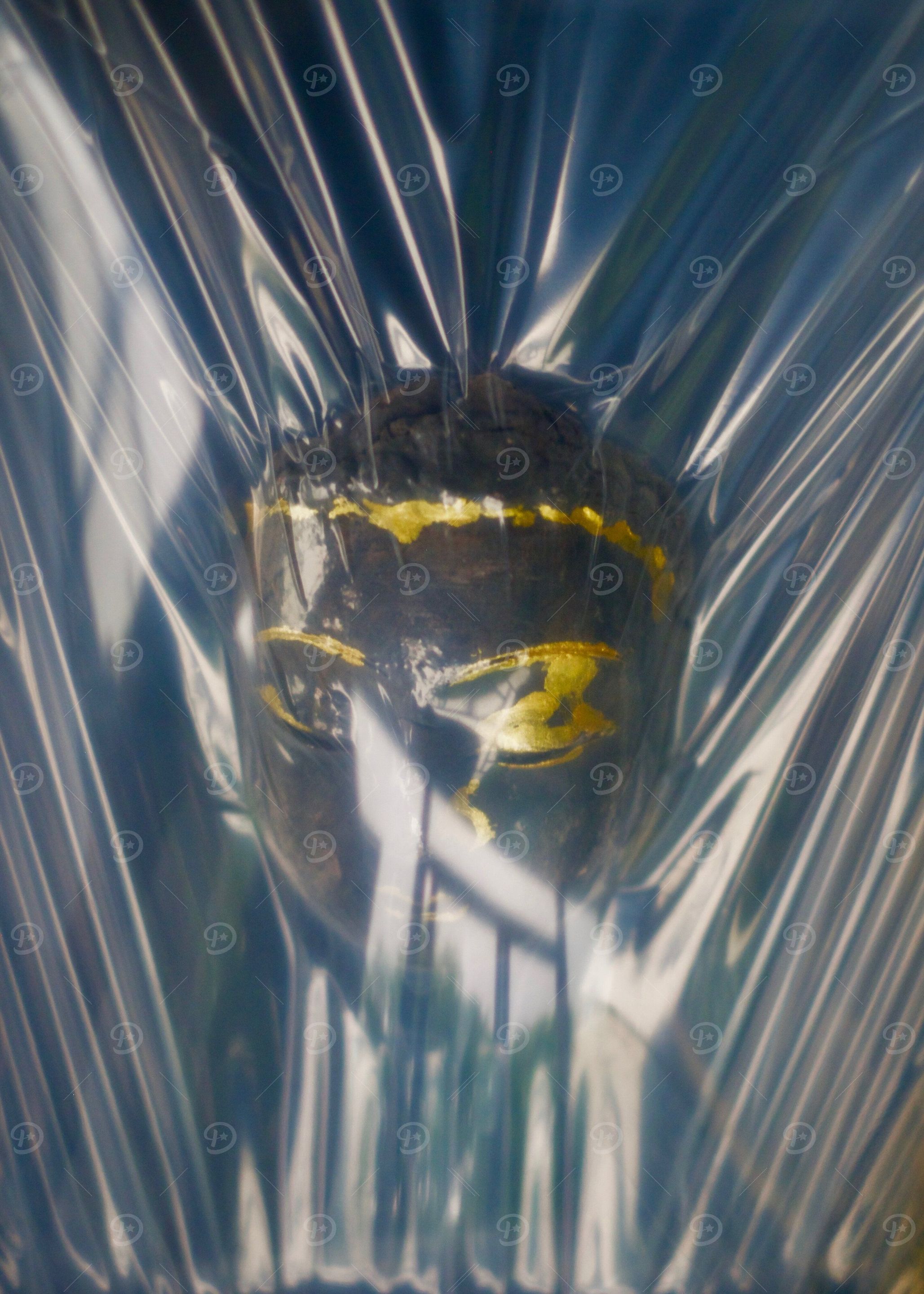 Buddha in Plastic