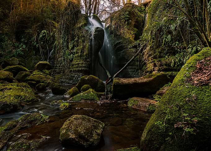 Nature