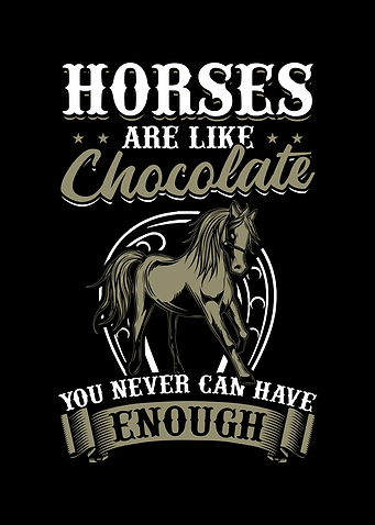 Horse Riding Horseback