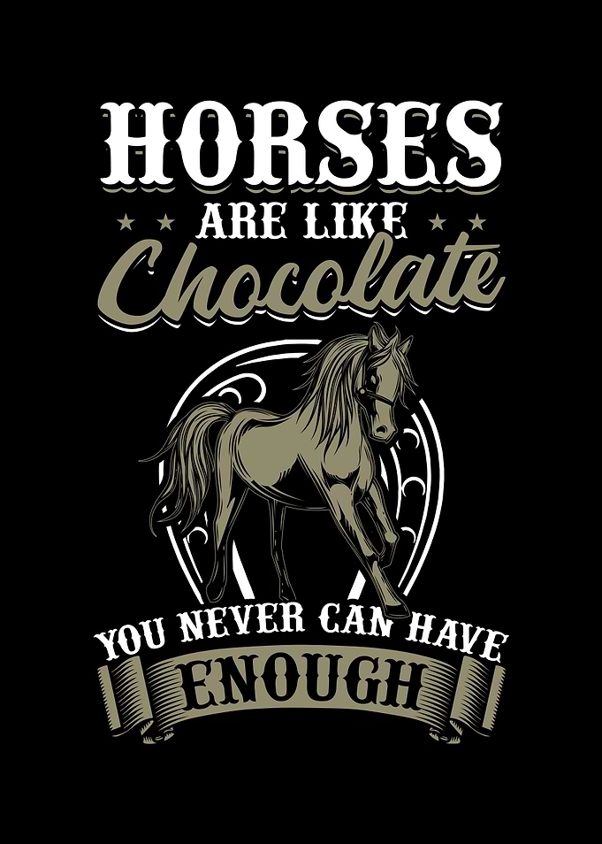 Horse Riding Horseback