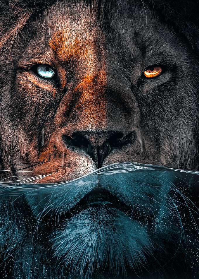 Badass Lion