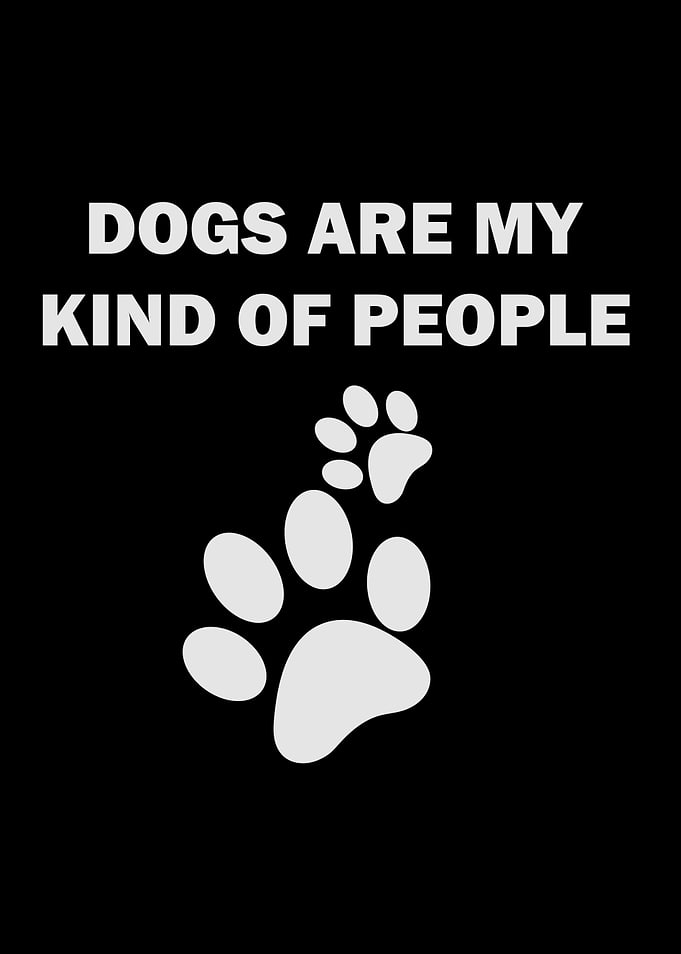 Dog Puppies
