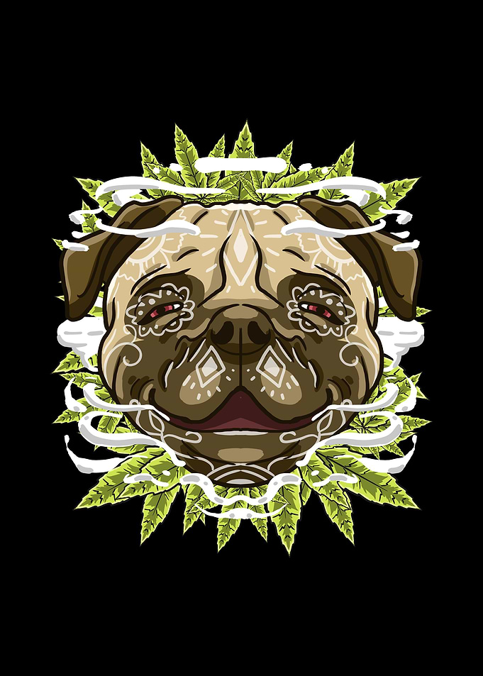 Pug Smoking Weed