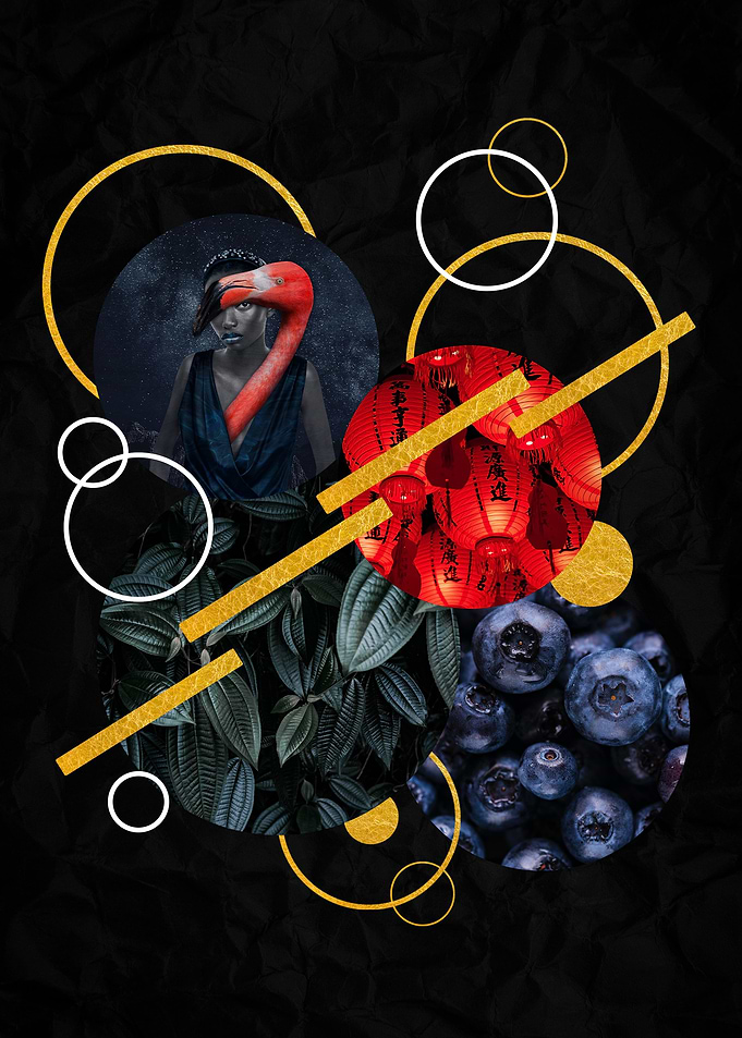 Circles Geometry