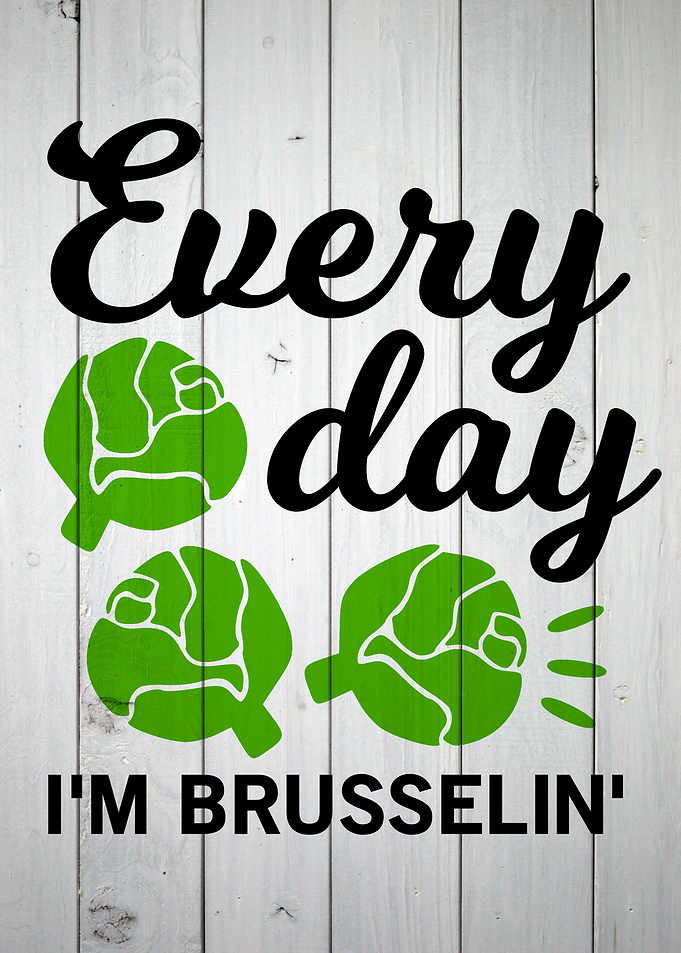 FARMHOUSE BRUSSELIN