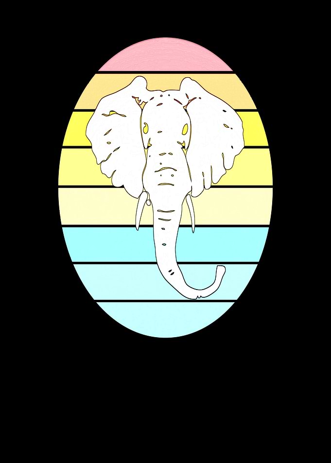 Elephant animal sun
