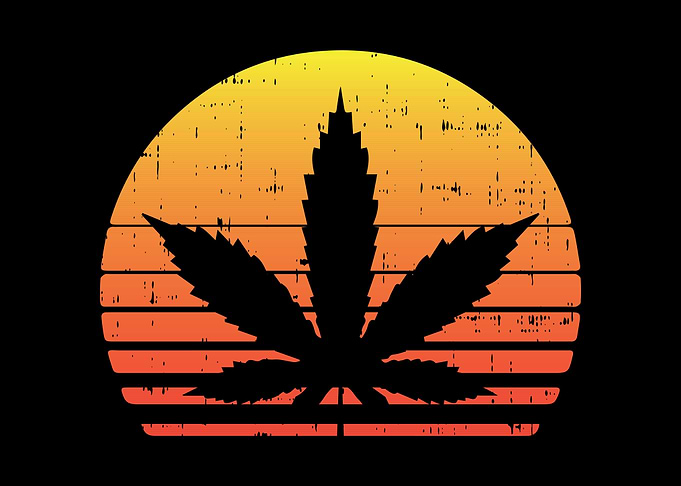 Weed Sunset