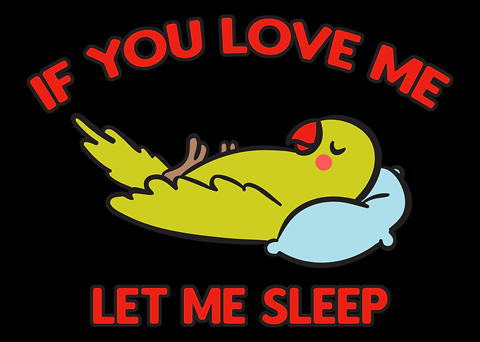 If You Love Let Me Sleep