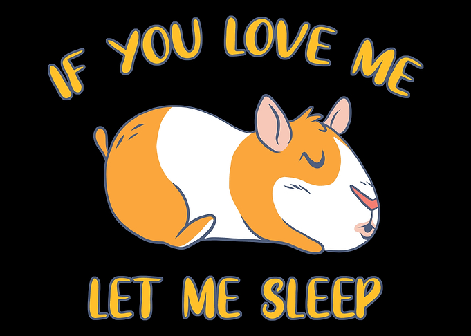 If You Love Let Me Sleep