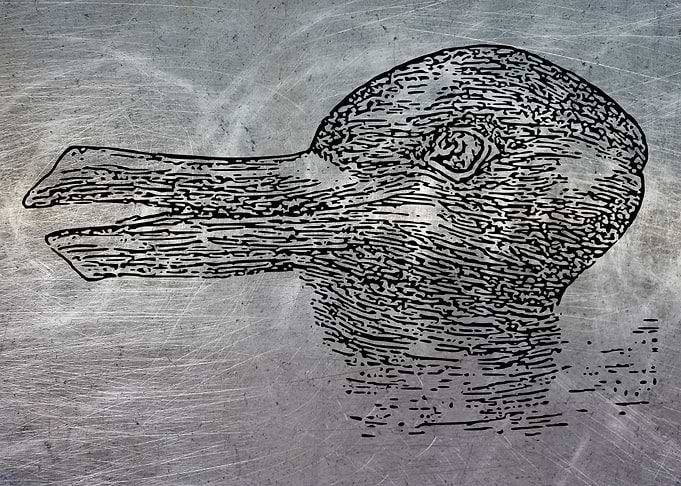 RABBIT DUCK METALLIC