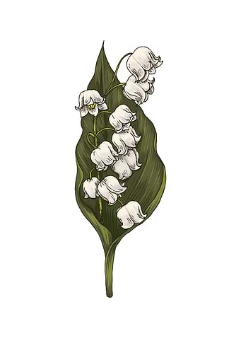 Flower Spring White