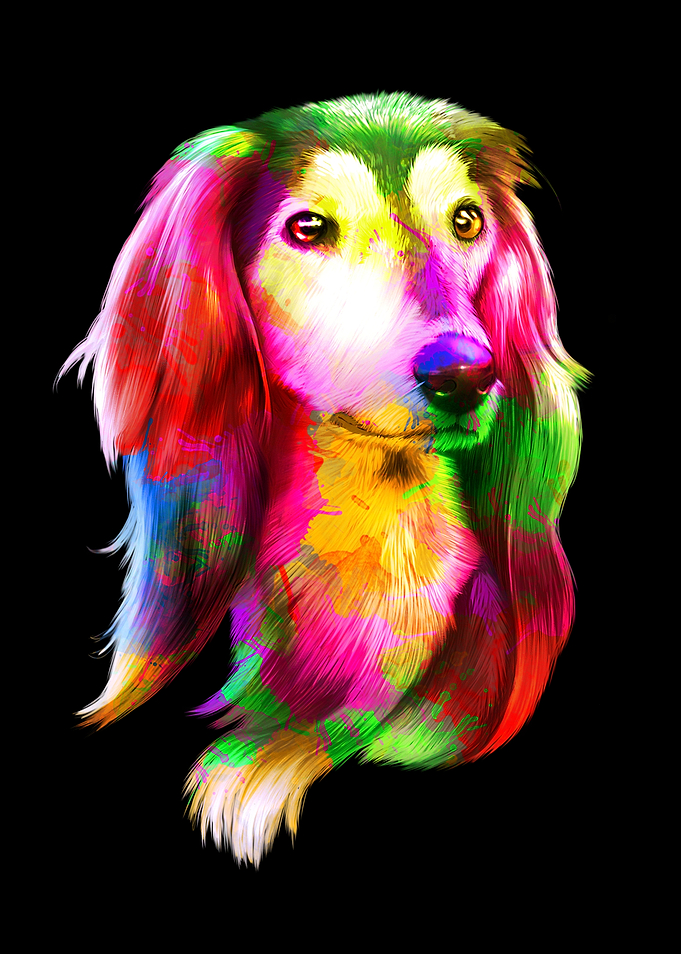 Greyhound Portrait