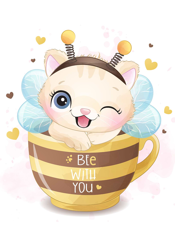 Cute little kitty