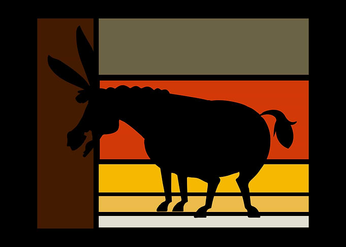 Vintage Donkey Mule Mules