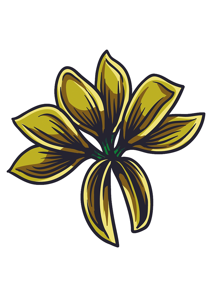Flower Botany Yellow