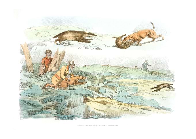 hunting dogs