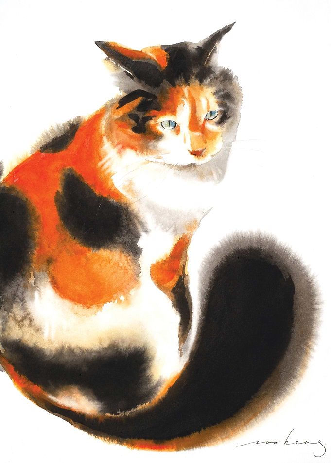Gingery Cat2