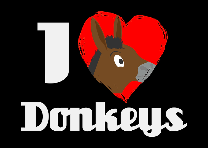 I Love Donkeys Mule Donkey