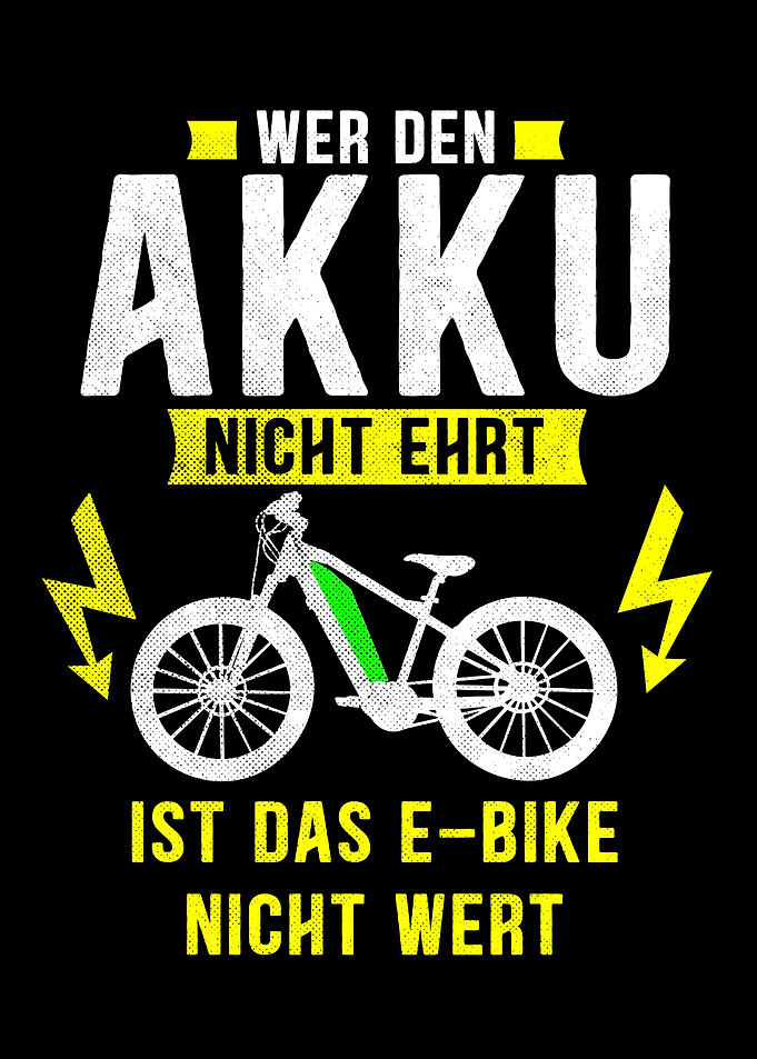 EBike Electro Fahrrad I L
