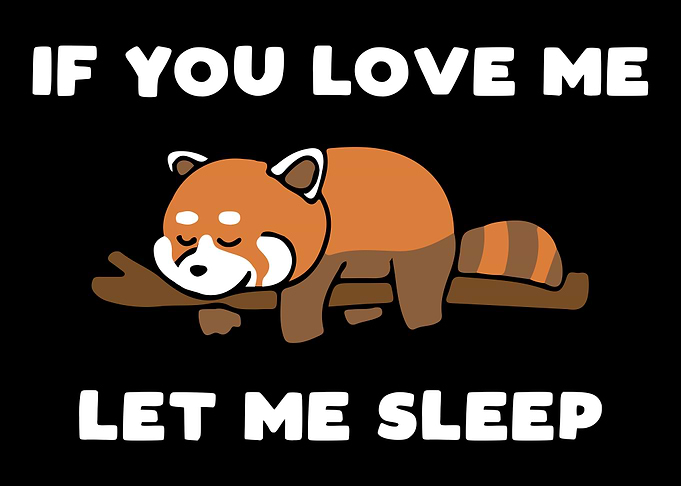 If You Love Let Me Sleep
