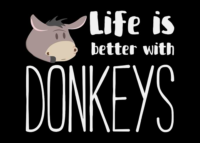 Donkey Quote Mule Life