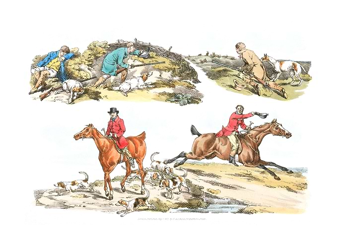 hare hunting
