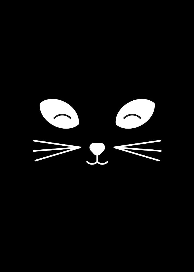 Black Cat Print
