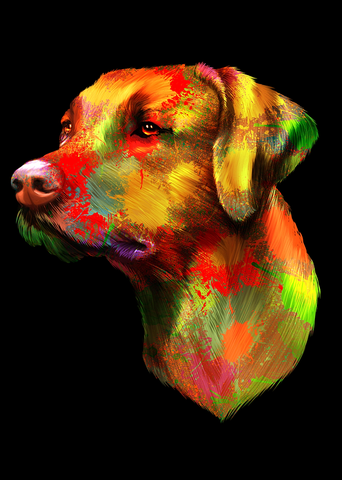 Rhodesian Ridgeback