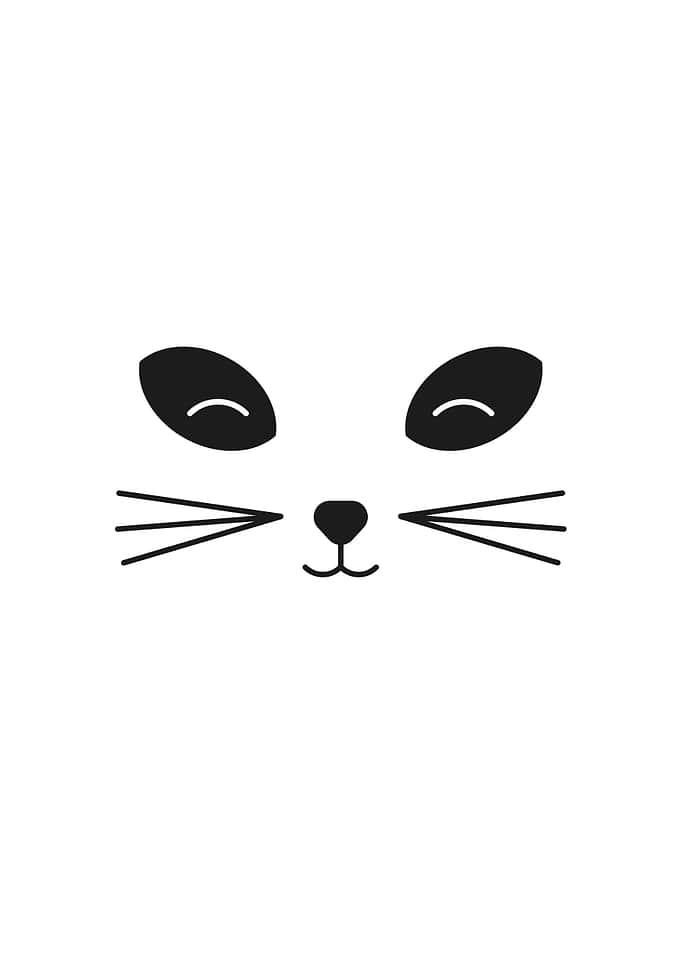 White Cat Print