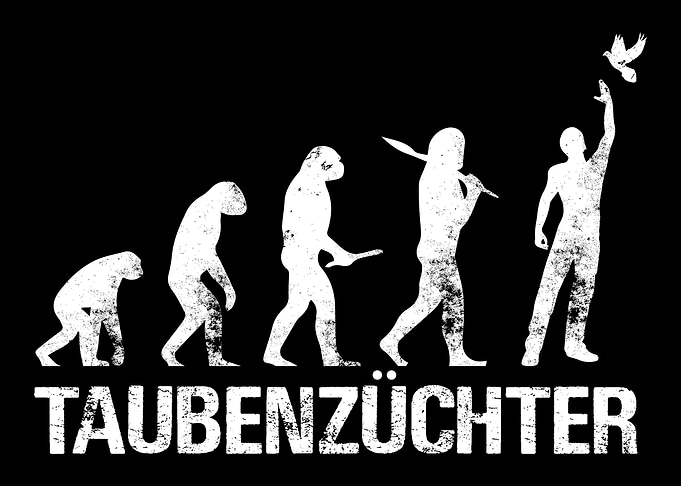 Taubenzchter