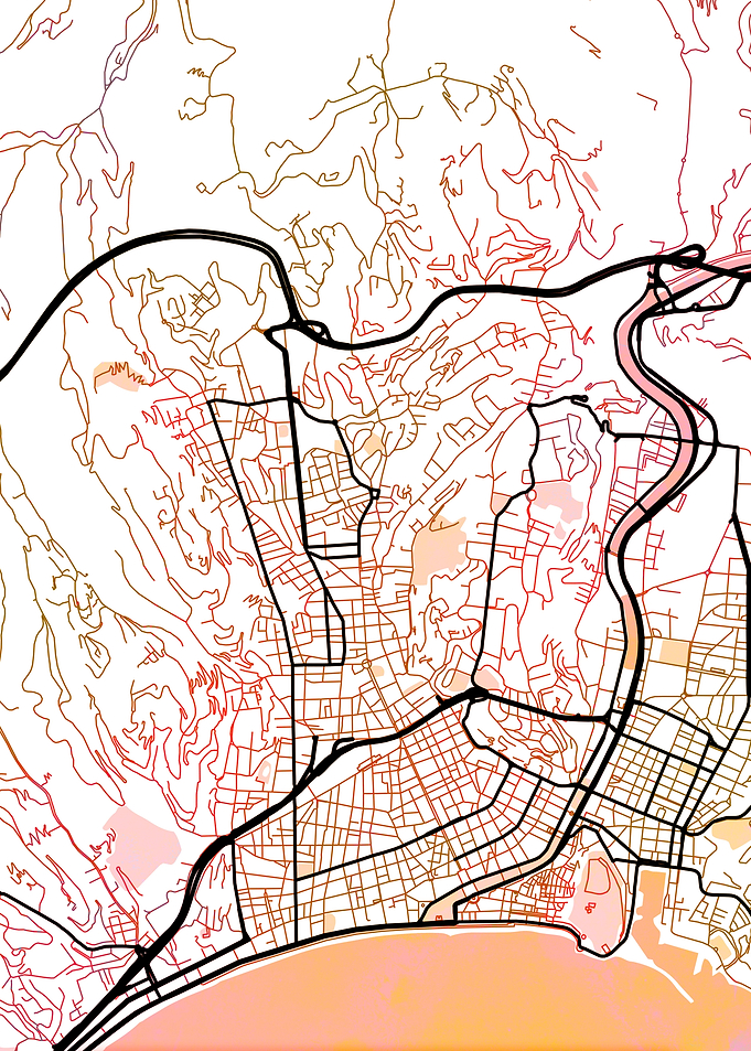 Venice Street Map