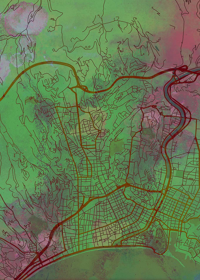 Nice Street Map